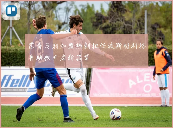 蒙哥马利加盟热刺担任波斯特科格鲁助教开启新篇章