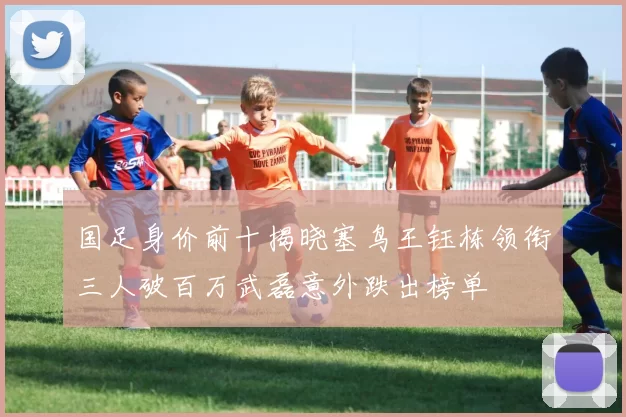 国足身价前十揭晓塞鸟王钰栋领衔三人破百万武磊意外跌出榜单